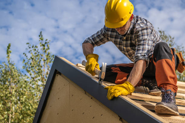 Best Gutter Installation and Repair  in Alamo, GA